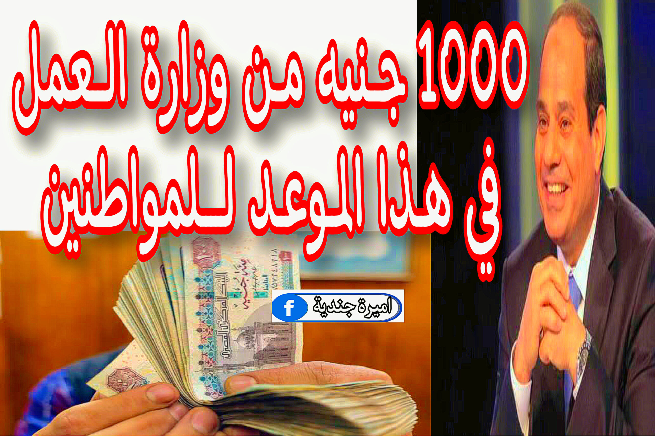 1000 جنيه من وزارة العمل