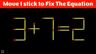 لعاشقي الرياضيات.. هل يمكنك حل اللغز هذا بتحريك عود واحد لتصحيح المعادلة التالية في أقل من 15 ثانية فقط؟