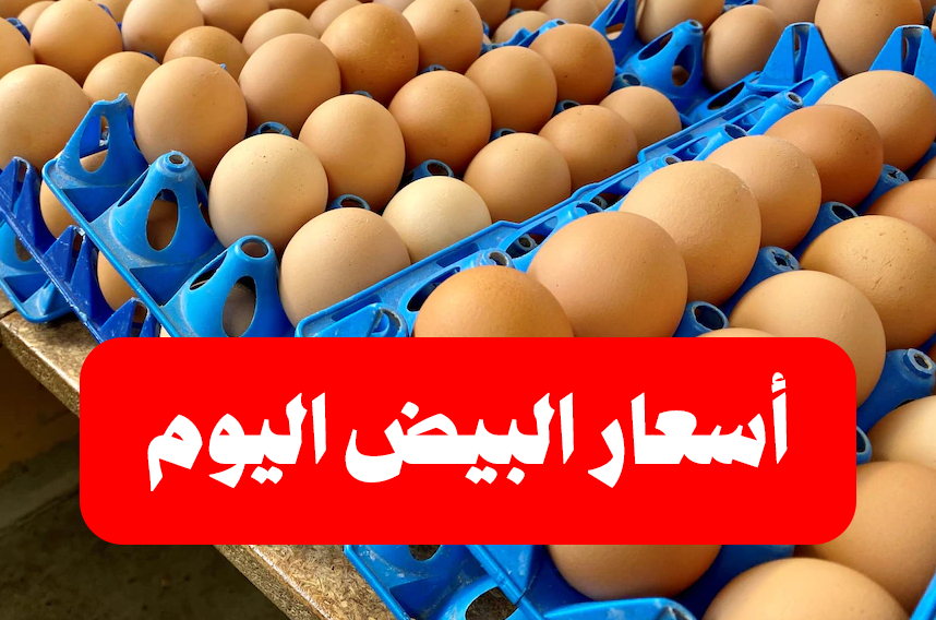 اسعار كرتونة البيض في الأسواق المصرية