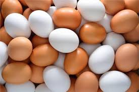 ثبات سعر البيض النهاردة بعد العيد
